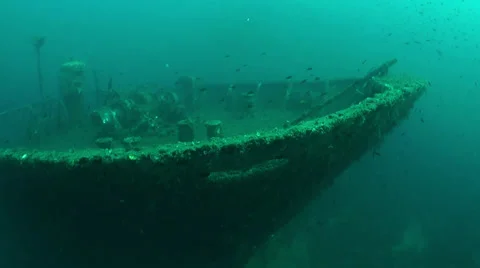Divers and the sunken wreck Video stock 36558789