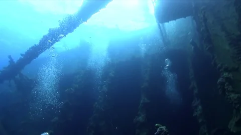 Divers are going inside wreck Umbria in Red sea Sudan Video stock 80273681
