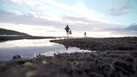 Divers arriving at ocean edge Stock-Footage 162872109