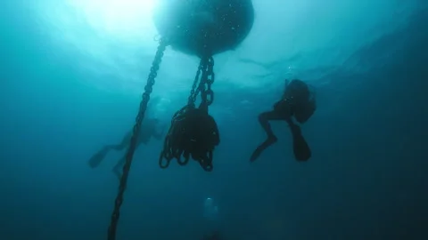 Divers ascending to the surface Stock Footage 263120123