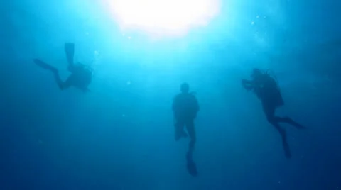 Divers in back light Stock Footage 24259473