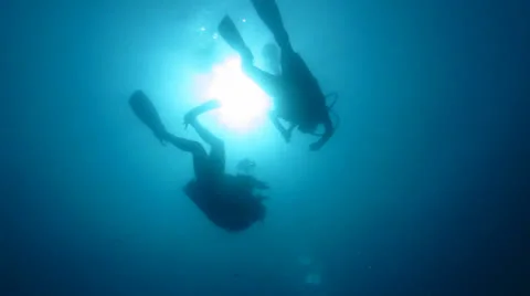 Divers in back light Stock Footage 24305978