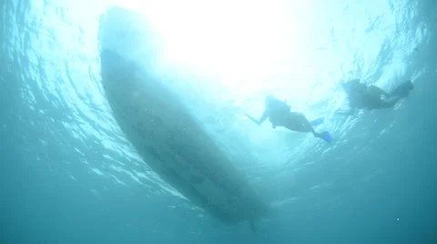 Divers in back light Stock Footage 27896308