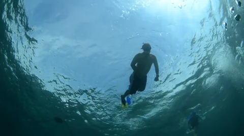 Divers in back light 库存影片 27896961