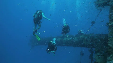 Divers behind shoal of bait fish gethered in the wreck Stock Footage 22732857