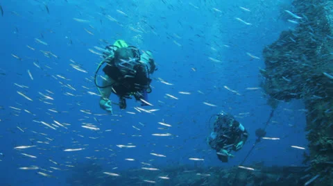 Divers behind shoal of bait fish gethered in the wreck Stock Footage 22732891