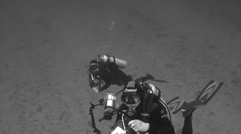 Divers in black &amp; white Vidéo 10737631