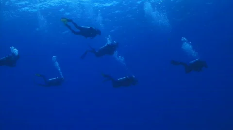 Divers in the blue 6 SR wall 1 Stock Footage 721136
