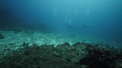 Divers In The Blue Stock Footage 270340676