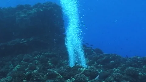Divers bubbles escape cavern roof Video stock 106689119
