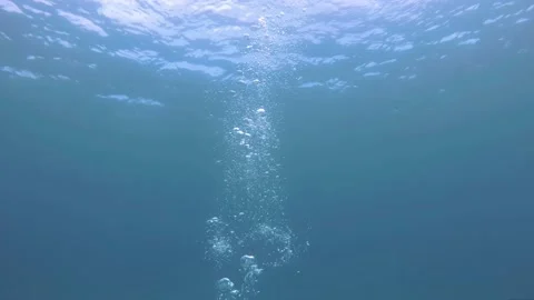 Divers Bubbles Stock Footage 147060094