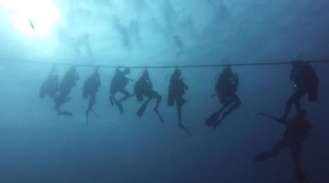 Divers on the buoy line 動画素材 33073761