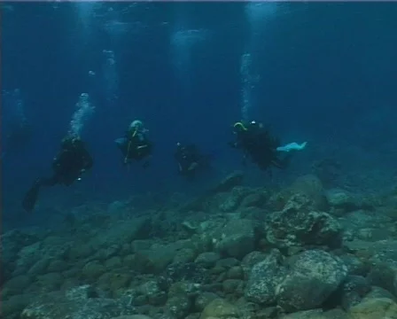 Divers (C011) 動画素材 99342