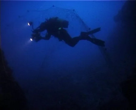 Divers (C073) 動画素材 103127