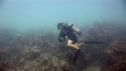 Divers can fully underwater world beauty by swimming in clear sea water. Stock Footage 235651979