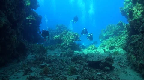 Divers in a canyon Stock Footage 33531255