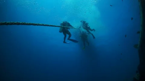 Divers in clear underwater slow motion. Stock Footage 235628866