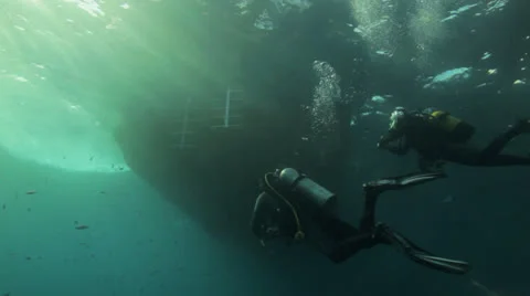 Divers coming up Видео 22700048