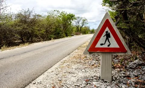 Divers crossing Stock Photos