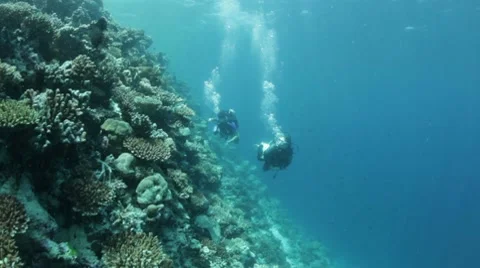 Divers in current along reef Stock Footage 10788197