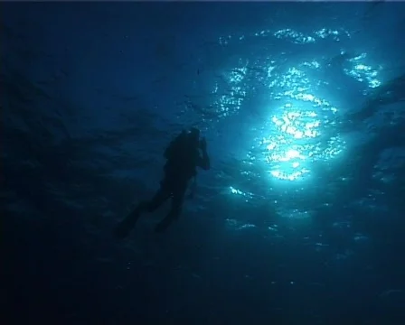 Divers (D160) 動画素材 146115