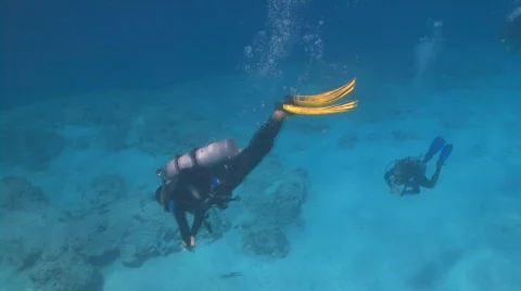 Divers descending Stock Footage 646517