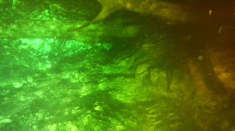 Divers in Devil's Ear Stock Footage 739101