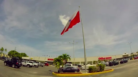 Divers direct dive shop and dive flag blowing in breeze in key largo, florida Stock Footage 41869258