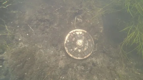 Divers discover a complete Bronze Age belt box in the Tollense River. Stock Footage 285886646