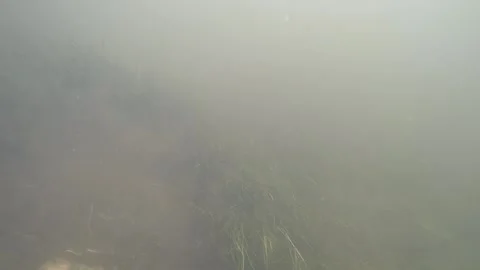 Divers discover a complete Bronze Age belt box in the Tollense River Stock Footage 285886667
