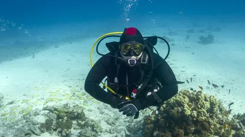 Divers dive in the Red Sea Stock Photos
