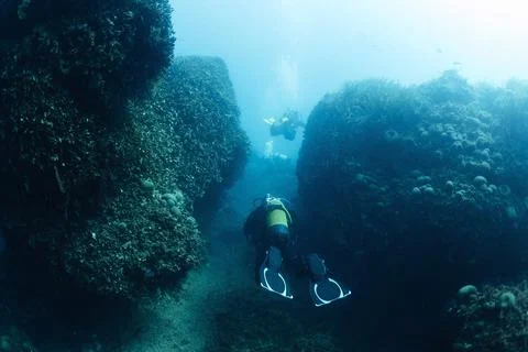 Divers diving between seabed rocks Stock Photos
