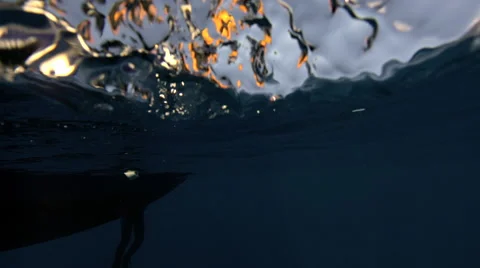 Divers diving in ocean Video stock 46644370