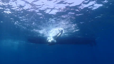 Divers doing back roll from a boat to explore coral reef Stock Footage 248083582