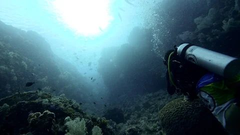 Divers drifting in canyon like passage with sand at the bottom Stock Footage 102134690
