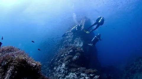 Divers drifting next to large pinnacle Stock Footage 58300073