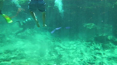 Divers Enter Cave Stock Footage 739098