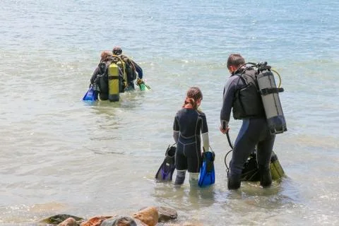 Divers enter the water on the beach Stock-Fotos