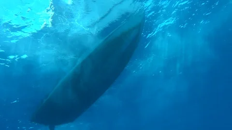 Divers enter water from small boat Video stock 70708782