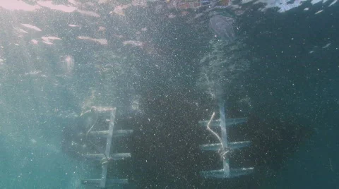Divers Entry into the ocean Stock Footage 300296