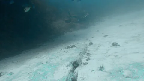 Divers explore at the bottom of the ocean Stock Footage 142360187