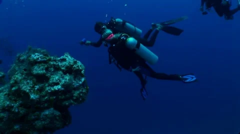 Divers Explore Reef Stock Footage 10922049