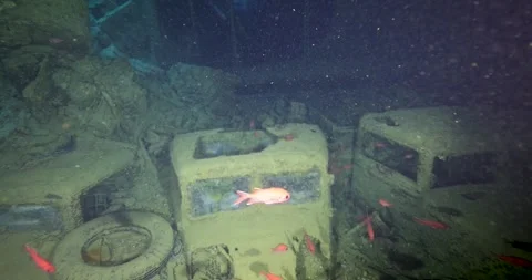 Divers explore the wreck of the SS Thistlegorm. Top diving wreck dives Stock Footage 279814225