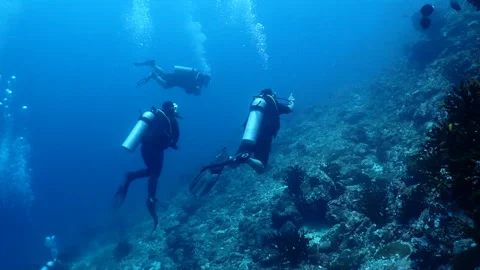 Divers exploring beautiful coral reef, underwater activities Stock Footage 248063916