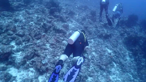 Divers exploring beautiful coral reef, underwater activities Stock Footage 248072561