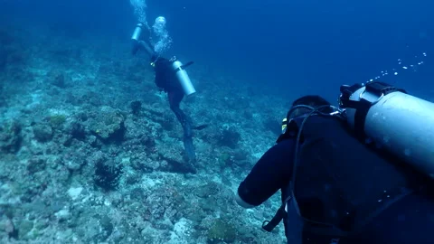 Divers exploring beautiful coral reef, underwater activities Stock Footage 248081983