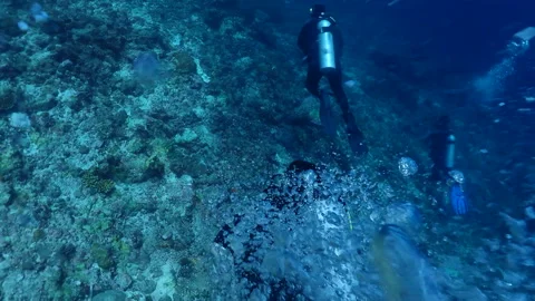 Divers exploring beautiful coral reef, underwater activities Stock Footage 248085195