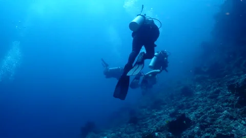 Divers exploring beautiful coral reef, underwater activities Stock Footage 248086437