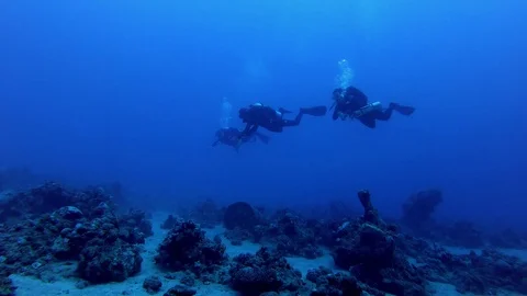 A divers exploring coral reef . Deep tech dive. Stock Footage 129113172