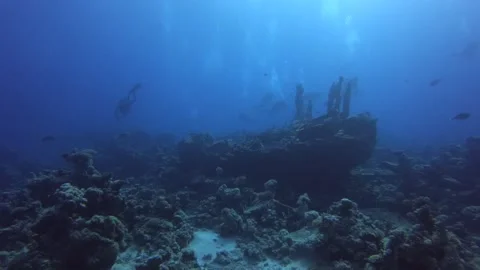 Divers exploring the wreck in the Red Sea Stock Footage 247189296